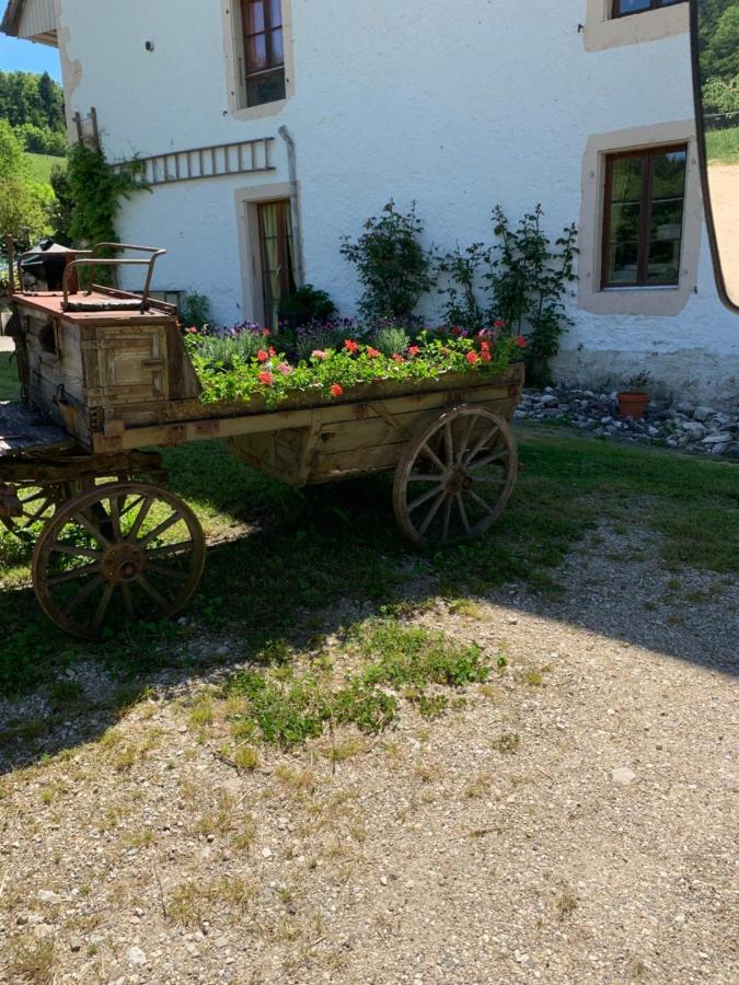 Chez Dodo 2534 Orvin Le Foncet Bed and Breakfast Evilard Buitenkant foto