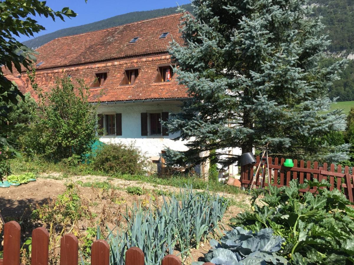 Chez Dodo 2534 Orvin Le Foncet Bed and Breakfast Evilard Buitenkant foto