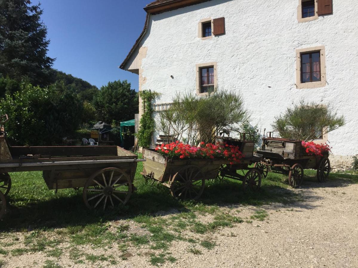Chez Dodo 2534 Orvin Le Foncet Bed and Breakfast Evilard Buitenkant foto