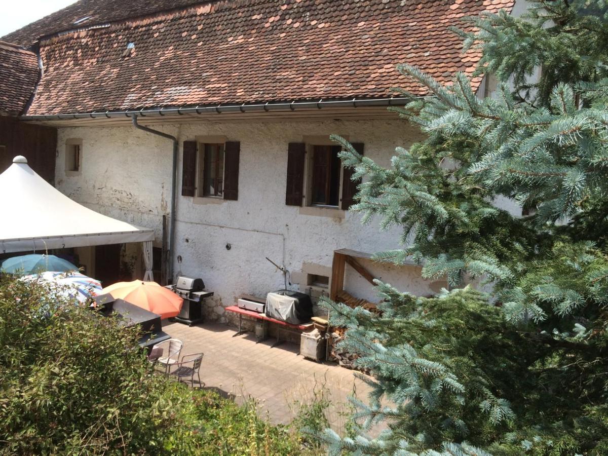 Chez Dodo 2534 Orvin Le Foncet Bed and Breakfast Evilard Buitenkant foto