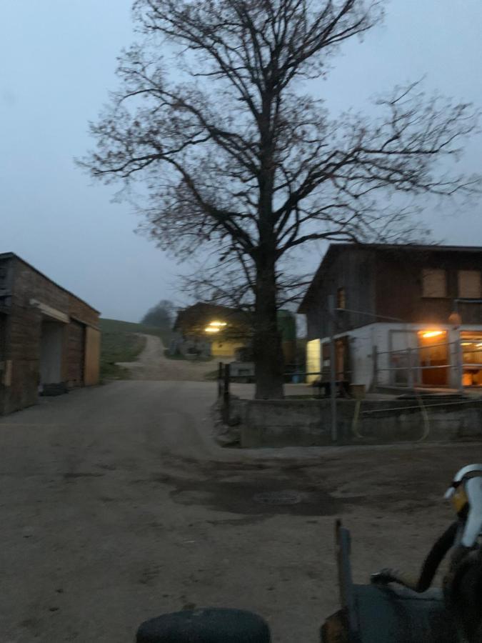 Chez Dodo 2534 Orvin Le Foncet Bed and Breakfast Evilard Buitenkant foto